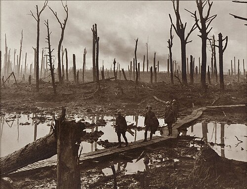 australian gunners in château wood, near hooge, 29 oct 1917