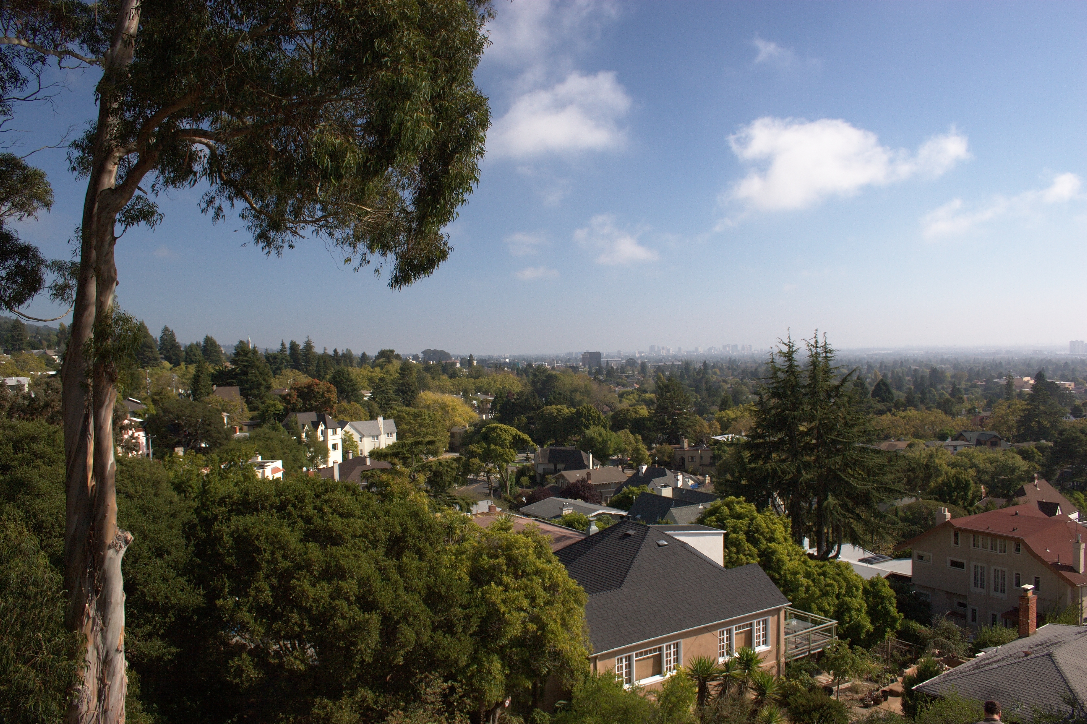 Indian Rock Park, Berkeley 2011